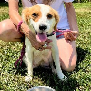 AAD New Arrival! Misty - 25154, Young Female unknown