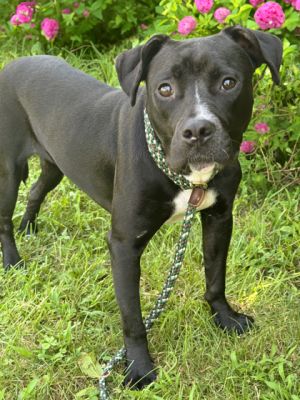 Emme, Adult Female unknown
