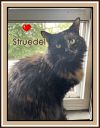 STRUEDEL photo 3