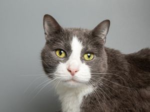 Logan, Senior Male unknown