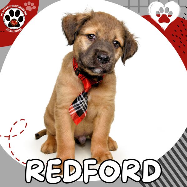 Redford
