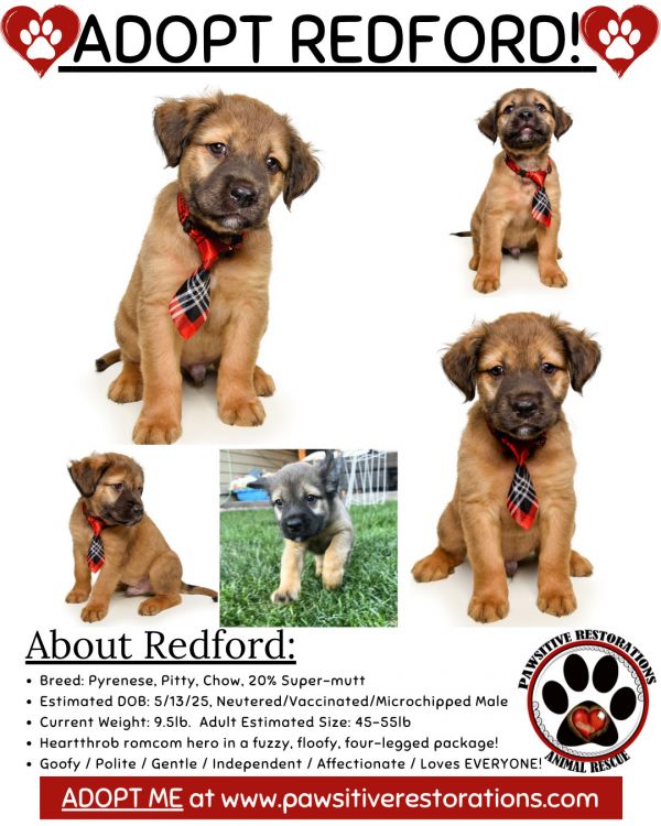 Redford thumbnail 2