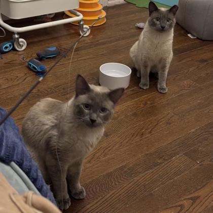 Sam