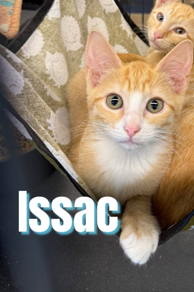 Issac