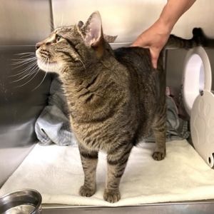 Thunder, Senior Female unknown