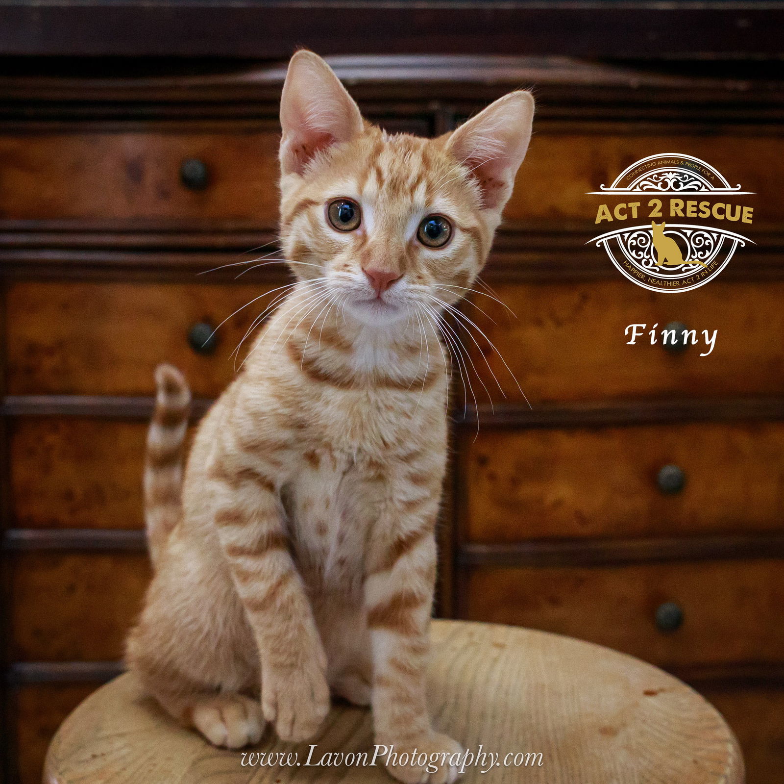 Finny