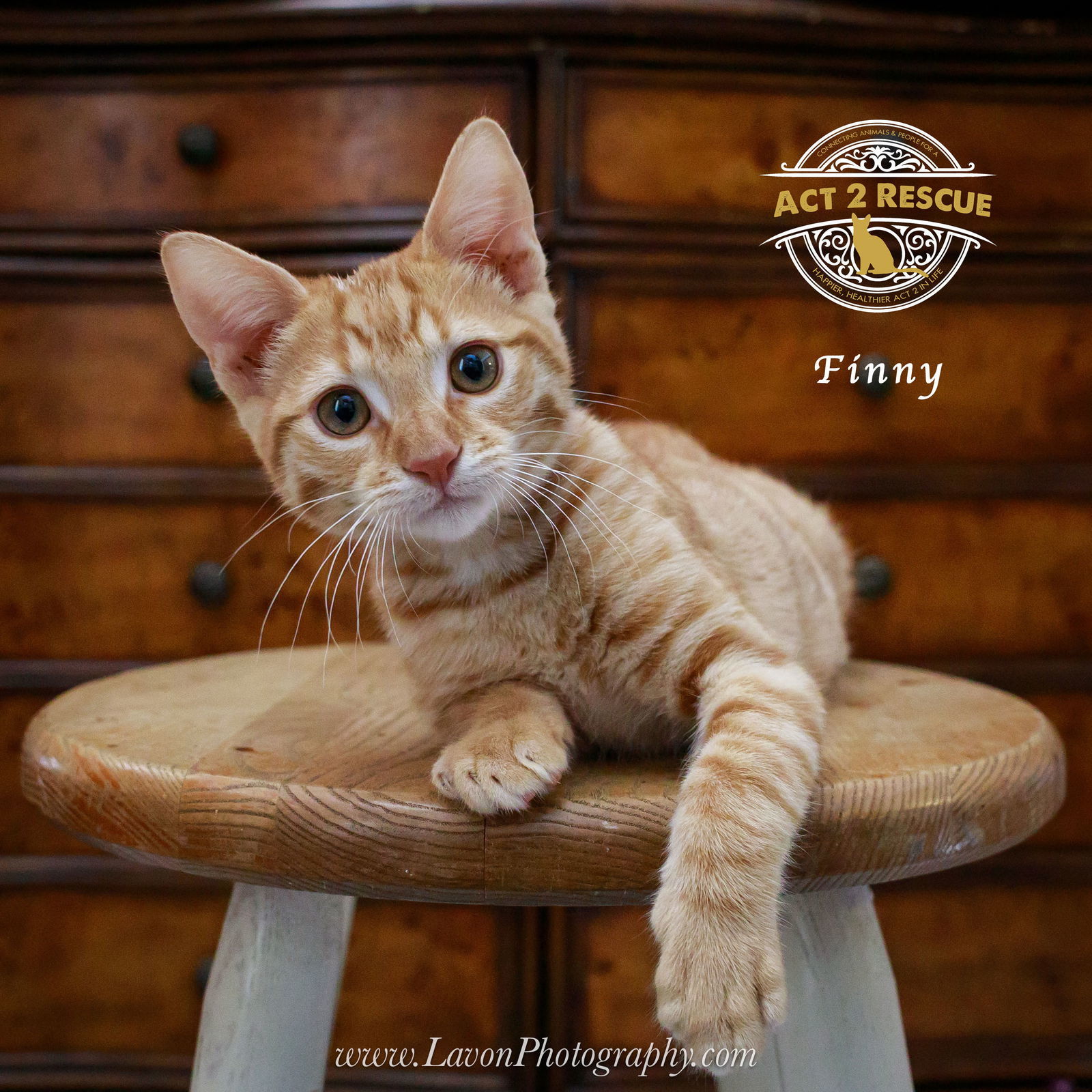 Finny