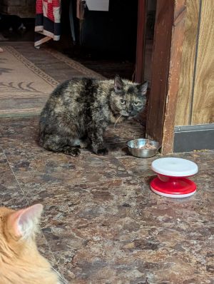 Riley, Senior Female unknown