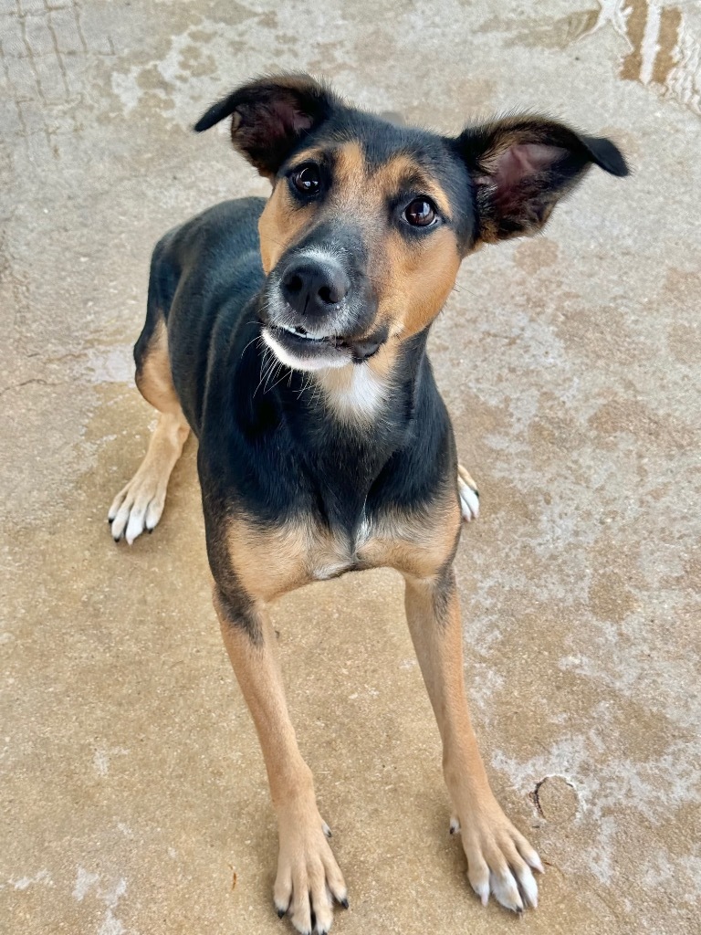 Lulu
