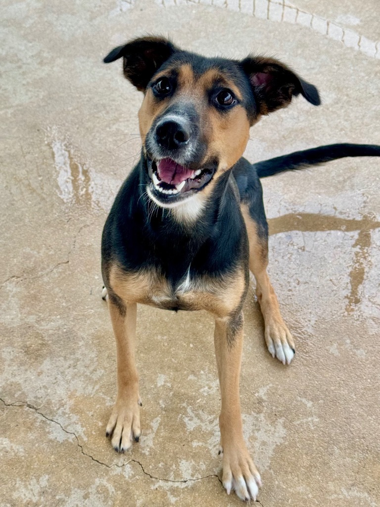 Lulu