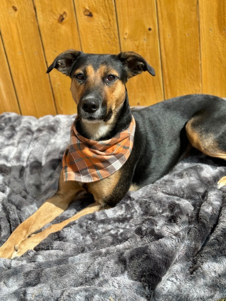 Lulu