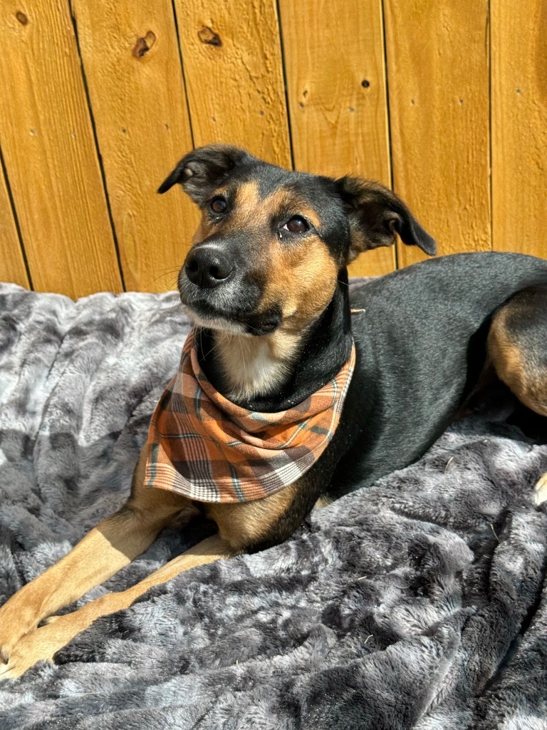 Lulu