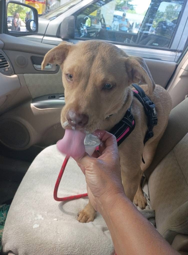 Nala