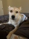 Rue photo 2