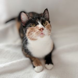 Millie, Young Female unknown