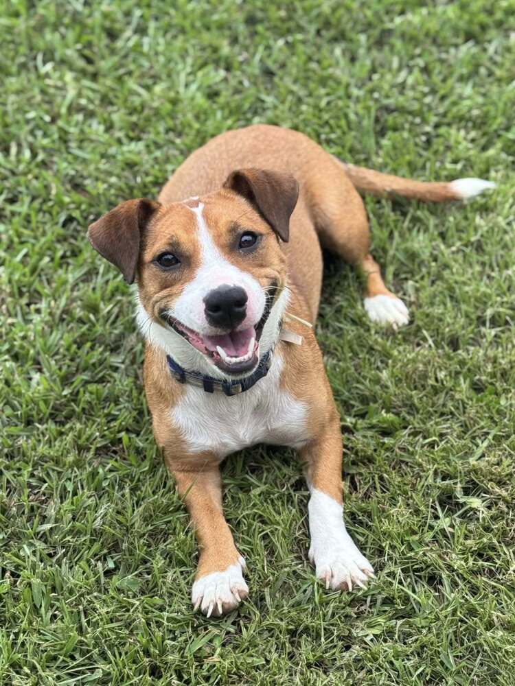 Rosie