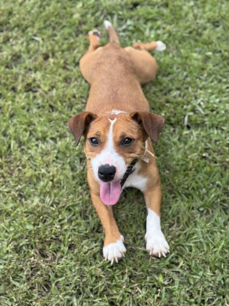 Rosie
