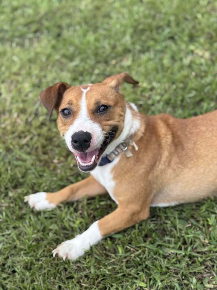 Rosie