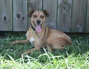Lil Girl, Adult Female unknown