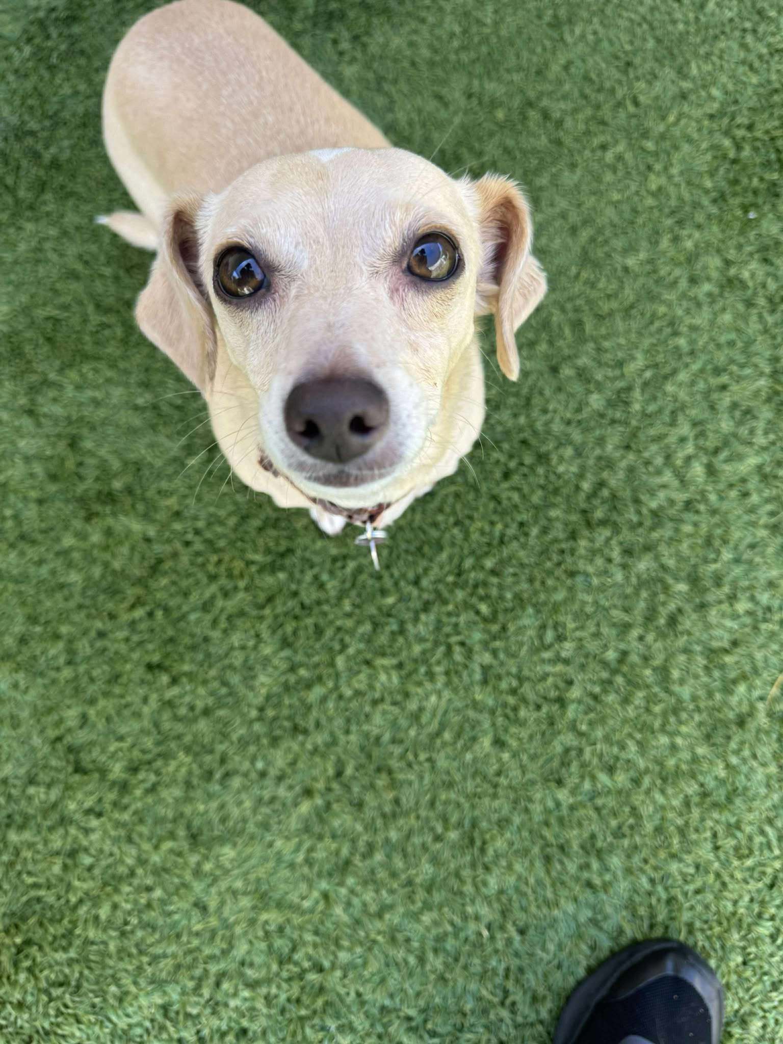 Otis B