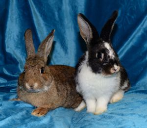 Margot and Mercy, Young Female unknown