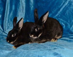 Sydney and Skylar, Young Female unknown