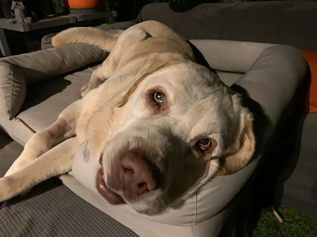 Franklin