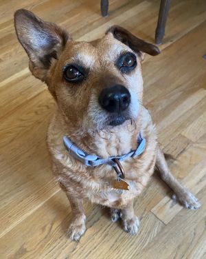 Joy, Senior Female unknown
