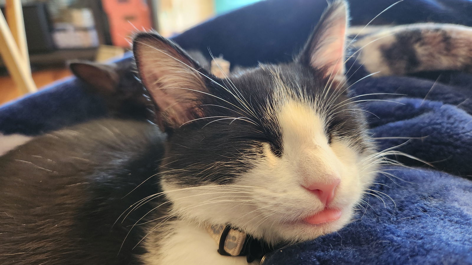 Logan - Must Apply in Person