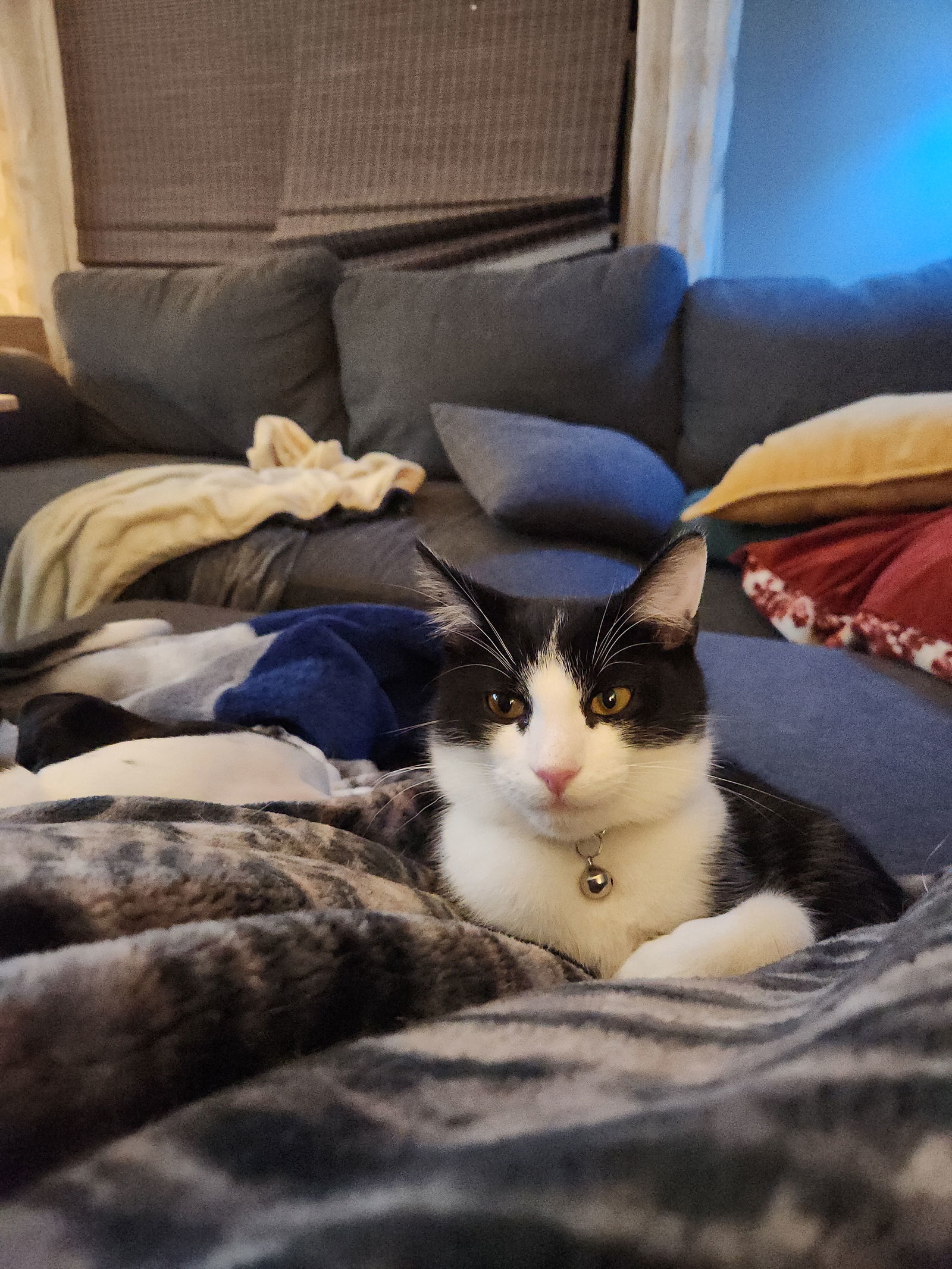 Logan - Must Apply in Person