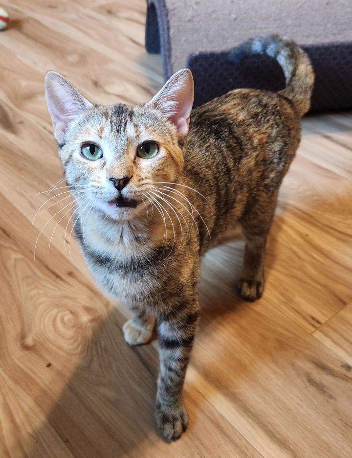 Marigold and Daisy 1