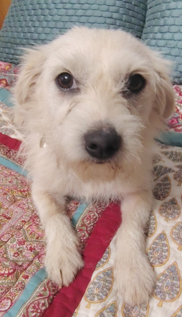 Loretta lou