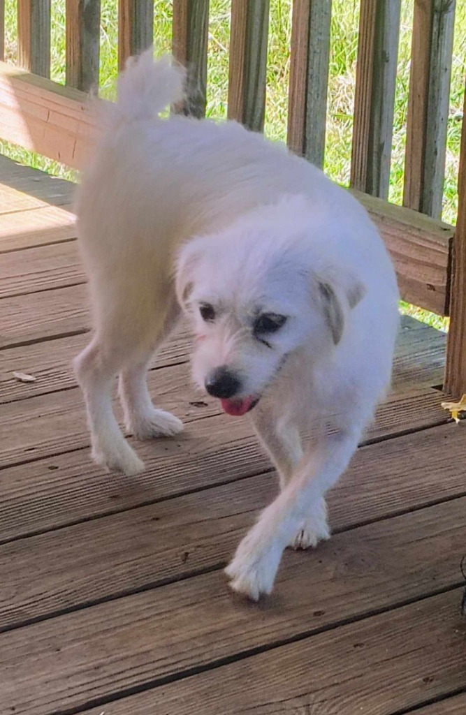 Loretta lou