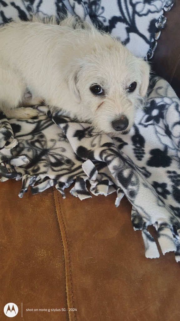 Loretta lou