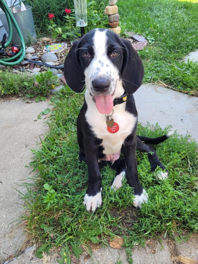 Jim