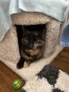 Smudge photo 2