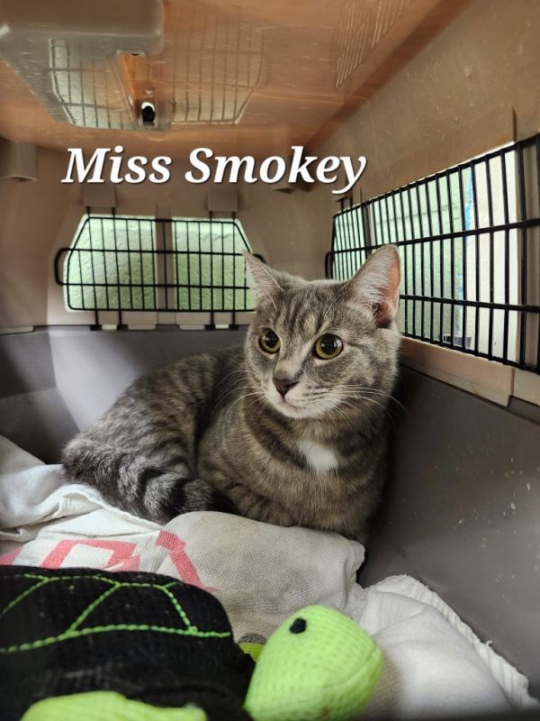 Miss Smokey