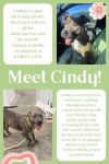 Cindy aka Bailey