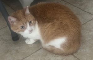 Camper, Senior Female unknown