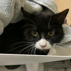 Emmy, Senior Female unknown
