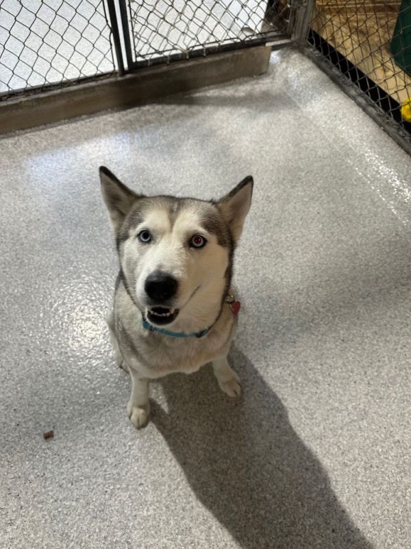 Luna