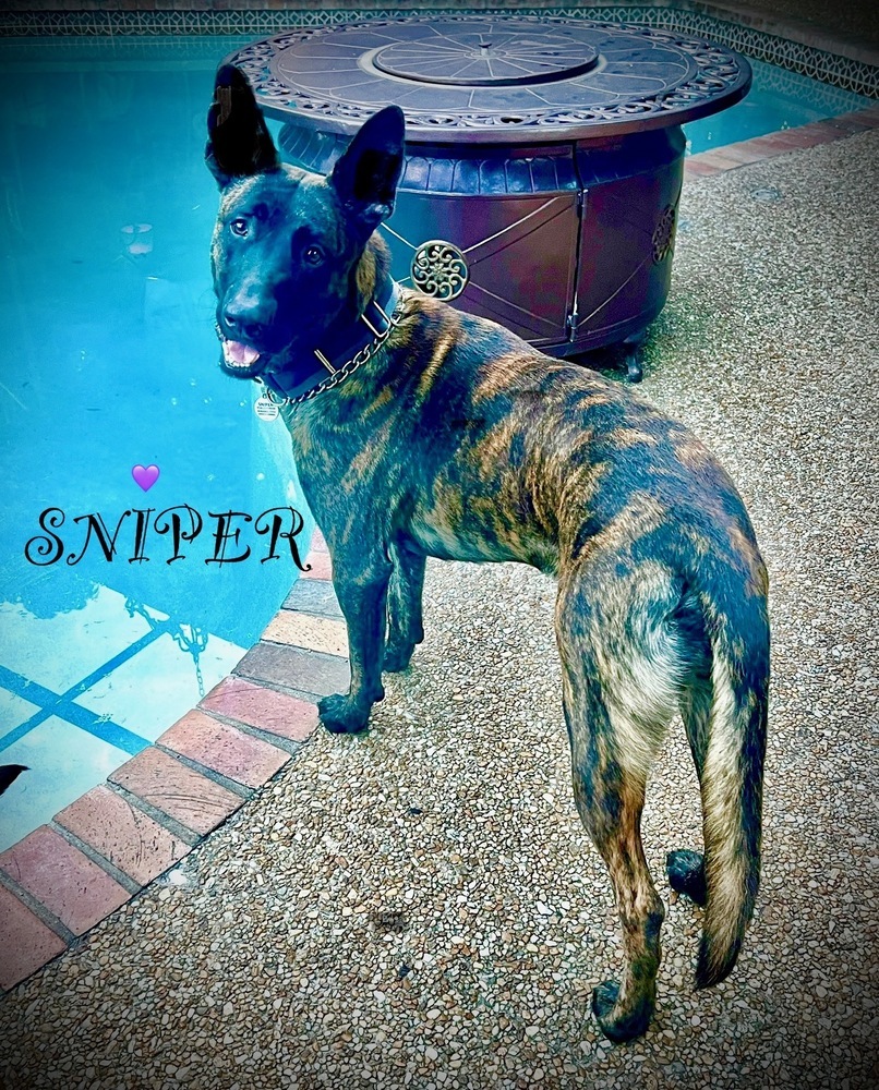 Sniper - Located In Florida