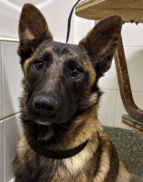 Maggie - Located In