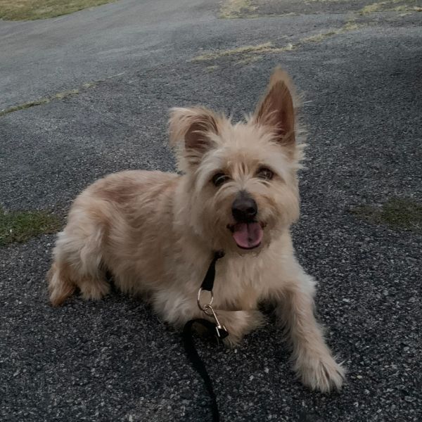Max