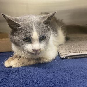 Murphy, Senior Male unknown