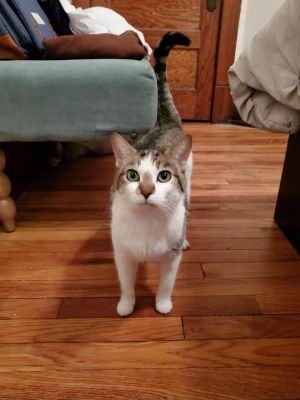 Baby, Adult Female unknown