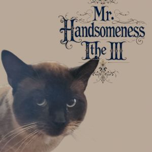 Mr. Handsomeness III, Young Male unknown