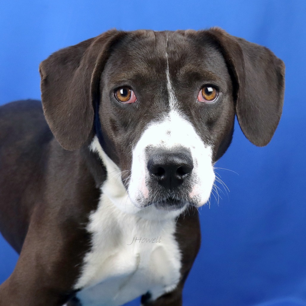 Carol Ann - 071501T-2