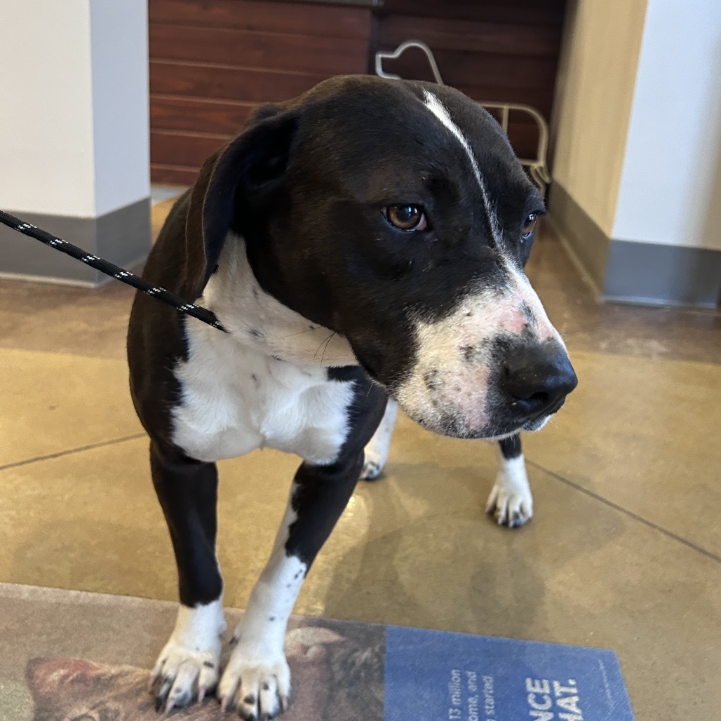 Carol Ann - 071501T-2