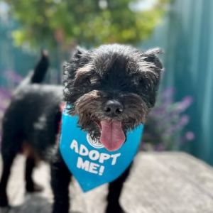 Toast, Senior Male unknown